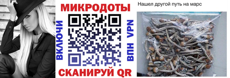 Псилоцибиновые грибы MAGIC MUSHROOMS  mega ССЫЛКА  Калуга  где купить  