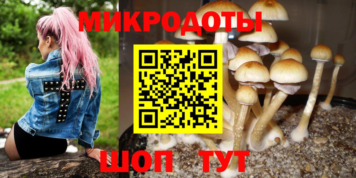 наркошоп  Псилоцибиновые грибы мухоморы  Калуга  Вход с VPN  Псилоцибиновые грибы мицелий 