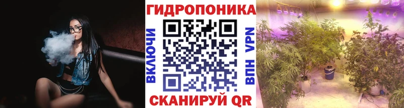Шишки марихуана сатива  цены   Калуга 